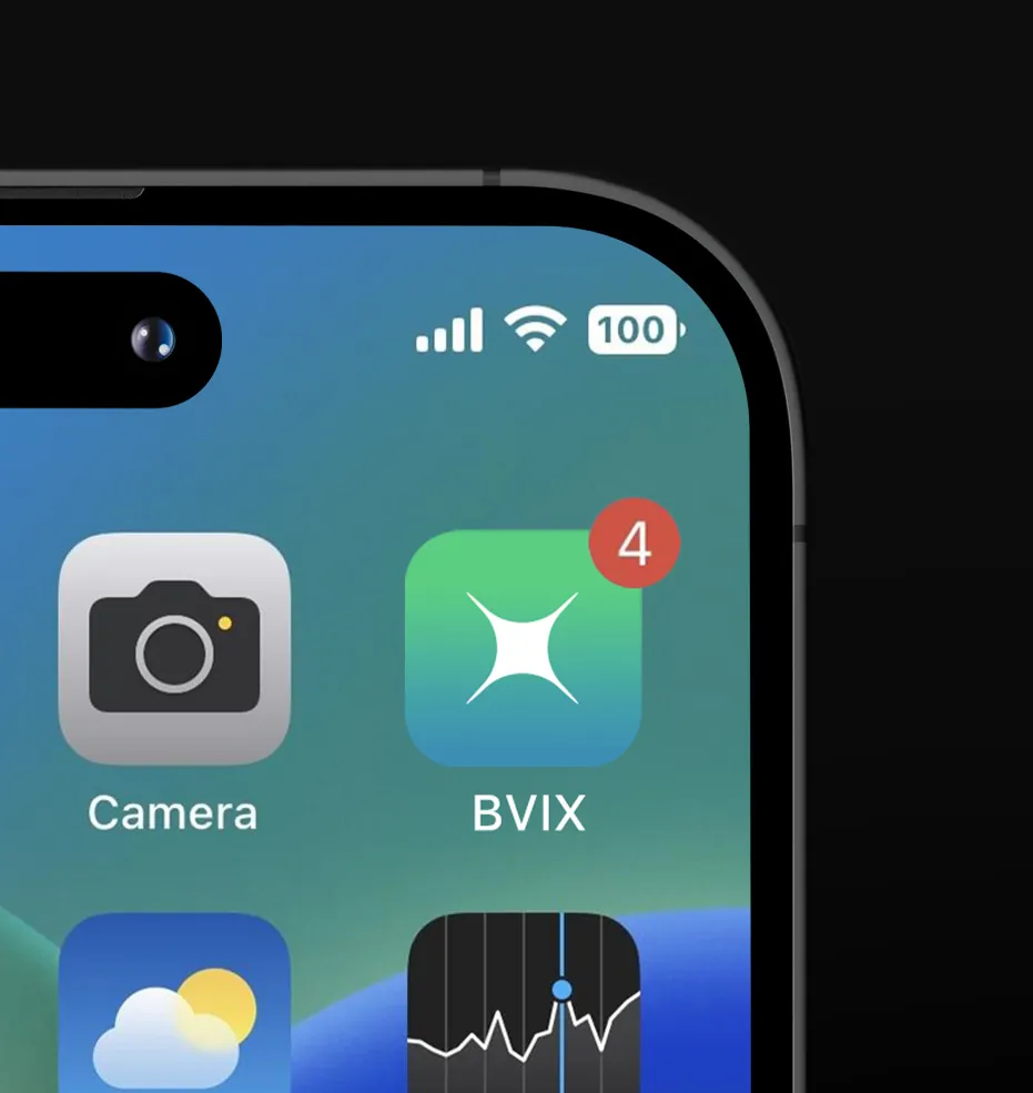 Ícone do aplicativo da BVIX na tela inicial do celular